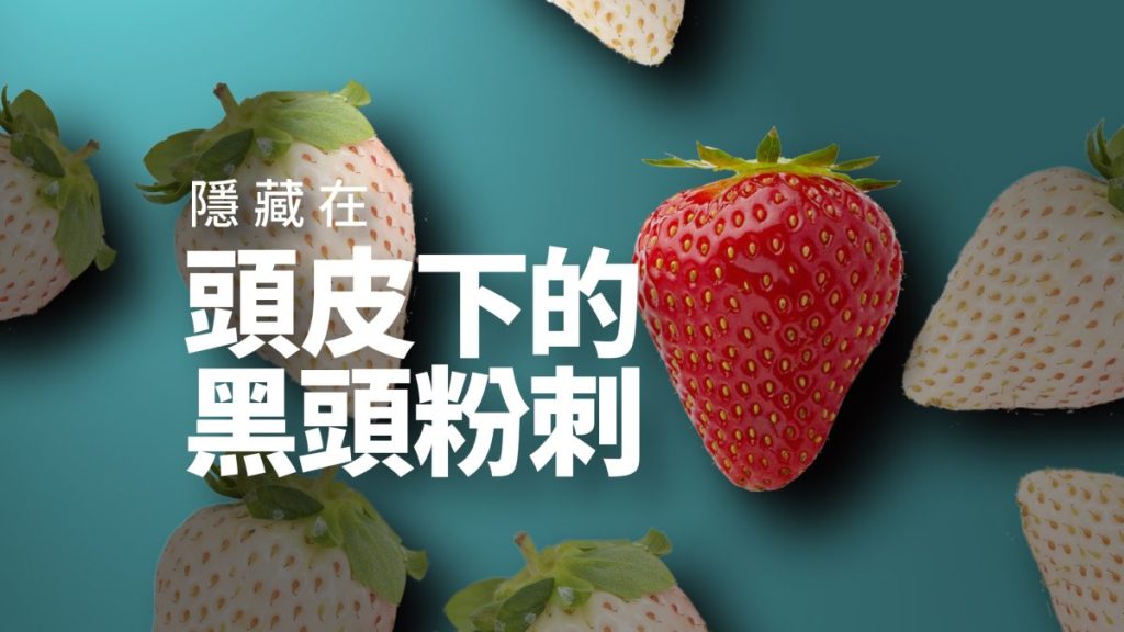 黑頭