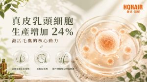真皮乳頭細胞
